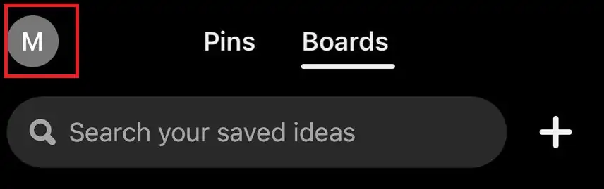 how to check Pinterest history on Iphone